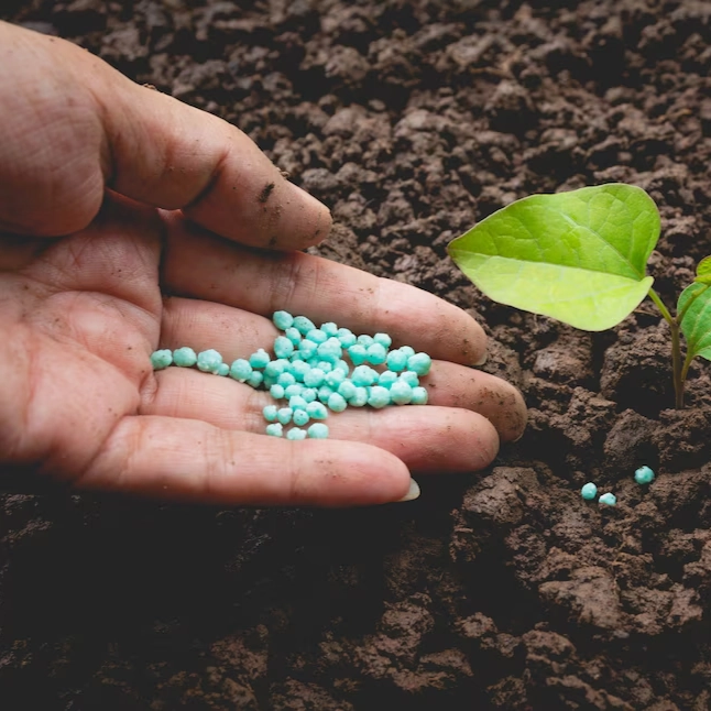 Fertilization for Optimal Growth