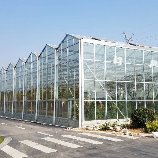 Glass Greenhouses