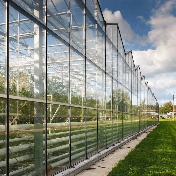 Glass greenhouse