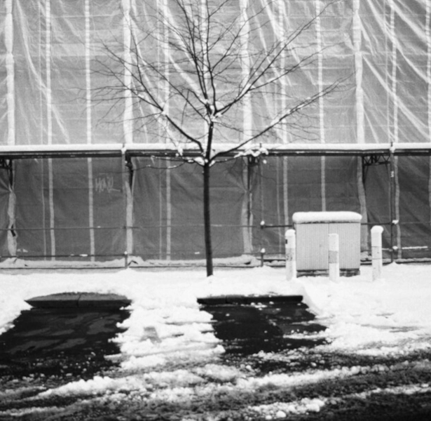 How Low Can It Go_ The Effects of Cold Temperatures