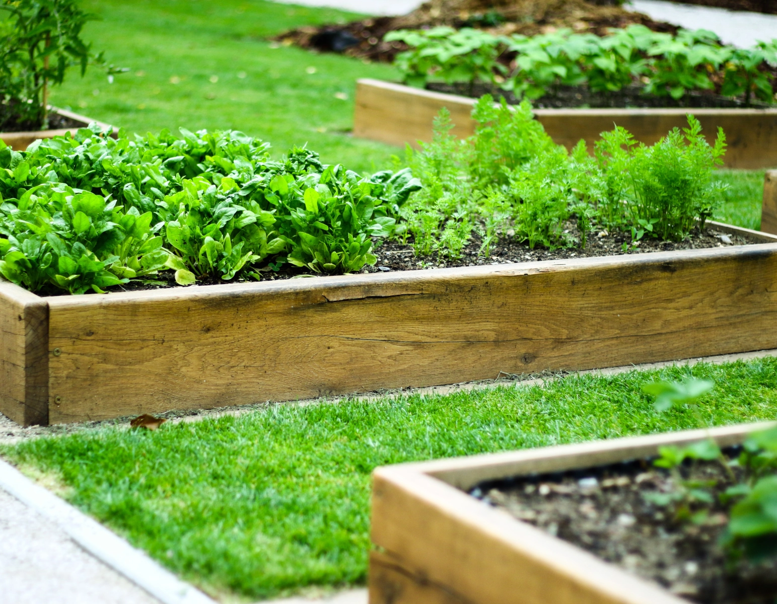 How to Fill a Raised Garden Bed for Vegetables