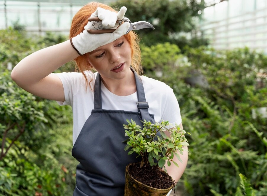Top 10 Greenhouse Errors Every Gardener Makes