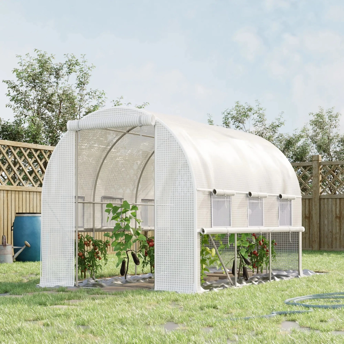 Walk-in Tunnel Greenhouse with Quality PE Cover