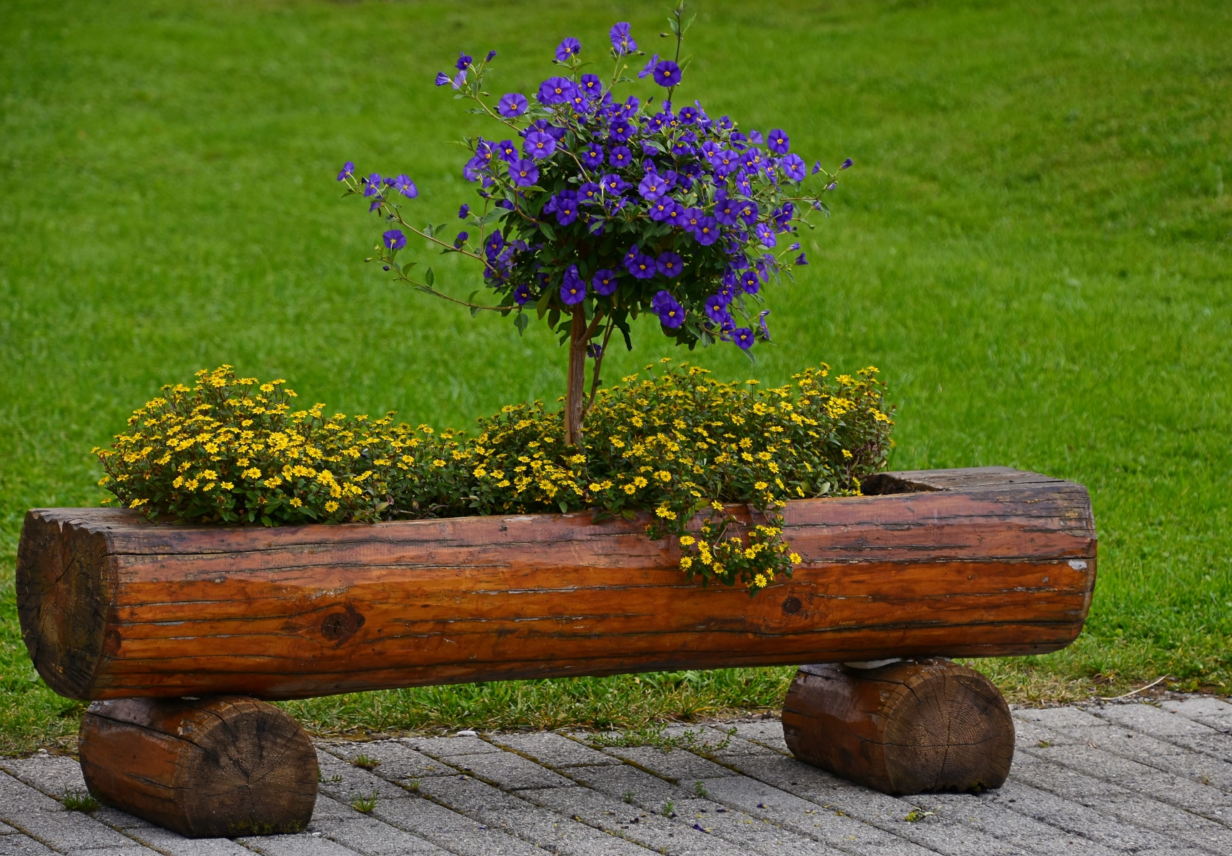 Why Choose a Raised Garden Bed