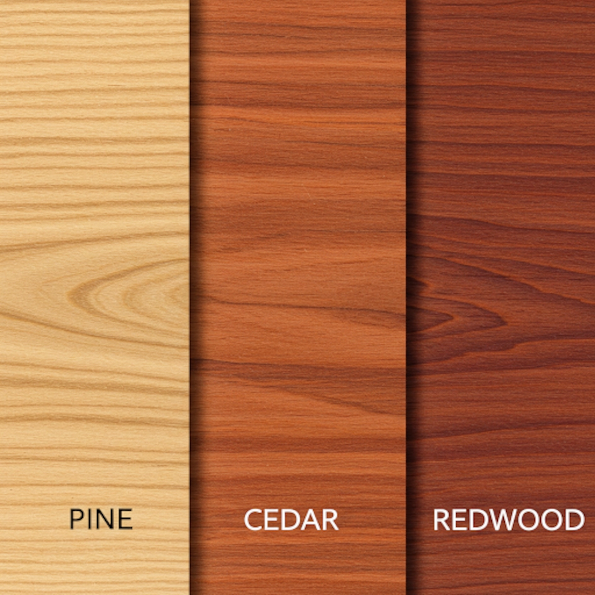 Comparison of pine, cedar, and redwood textures for choosing wood type before painting.