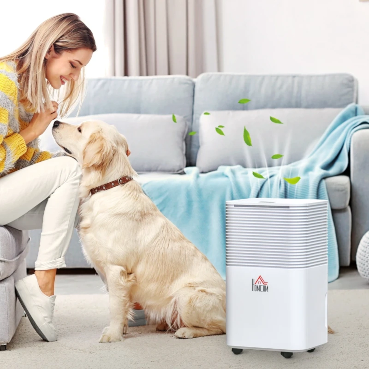 Woman sitting with golden retriever beside HOMCOM dehumidifier in a modern living room.